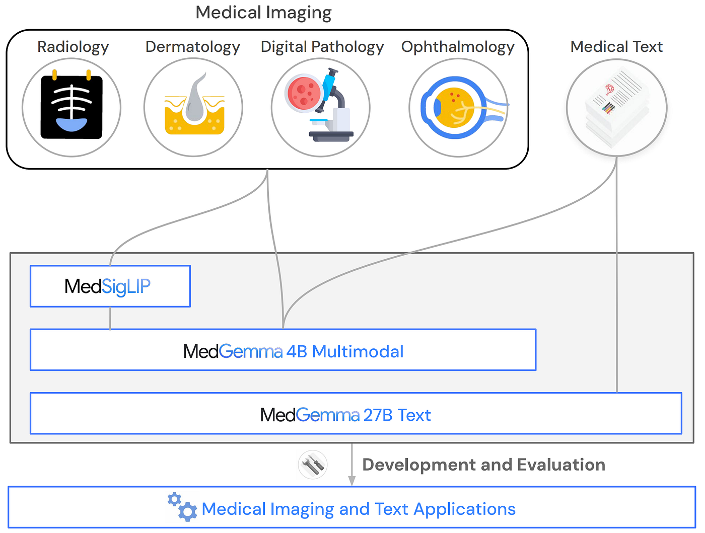 MedGemma: Jak zaawansowana AI wspiera monitoring Twoich znamion? 1 Schemat architektury modelu AI MedGemma pokazujący przepływ danych z dermatologii, radiologii i tekstów medycznych do multimodalnego modelu językowego Google.